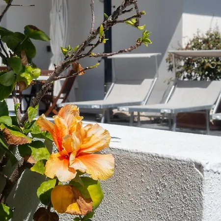 Porto Corallo Seafront