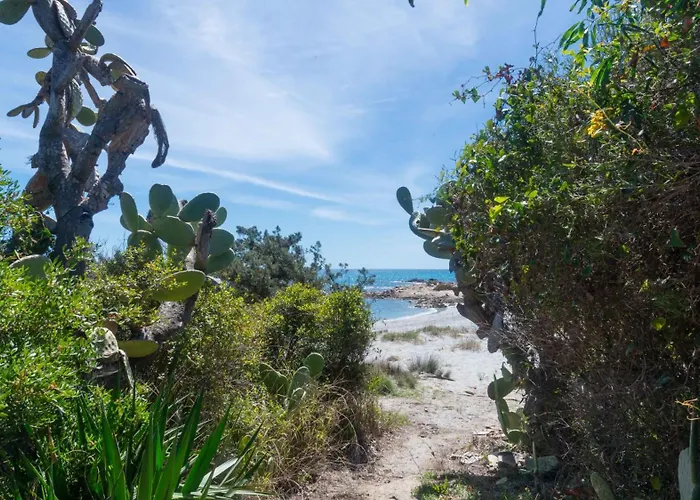 Daire Porto Corallo Seafront Cala Liberotto