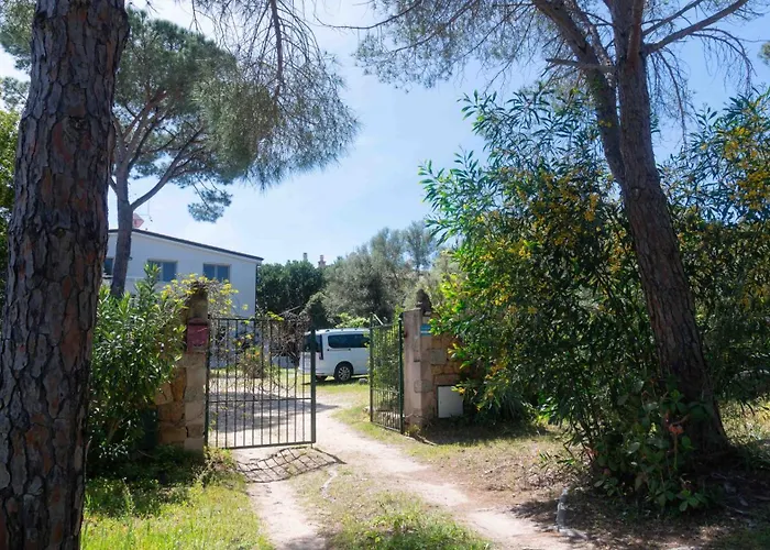 Daire Porto Corallo Seafront Cala Liberotto